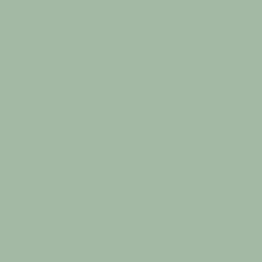 Diatom wall panel G6PPF010E